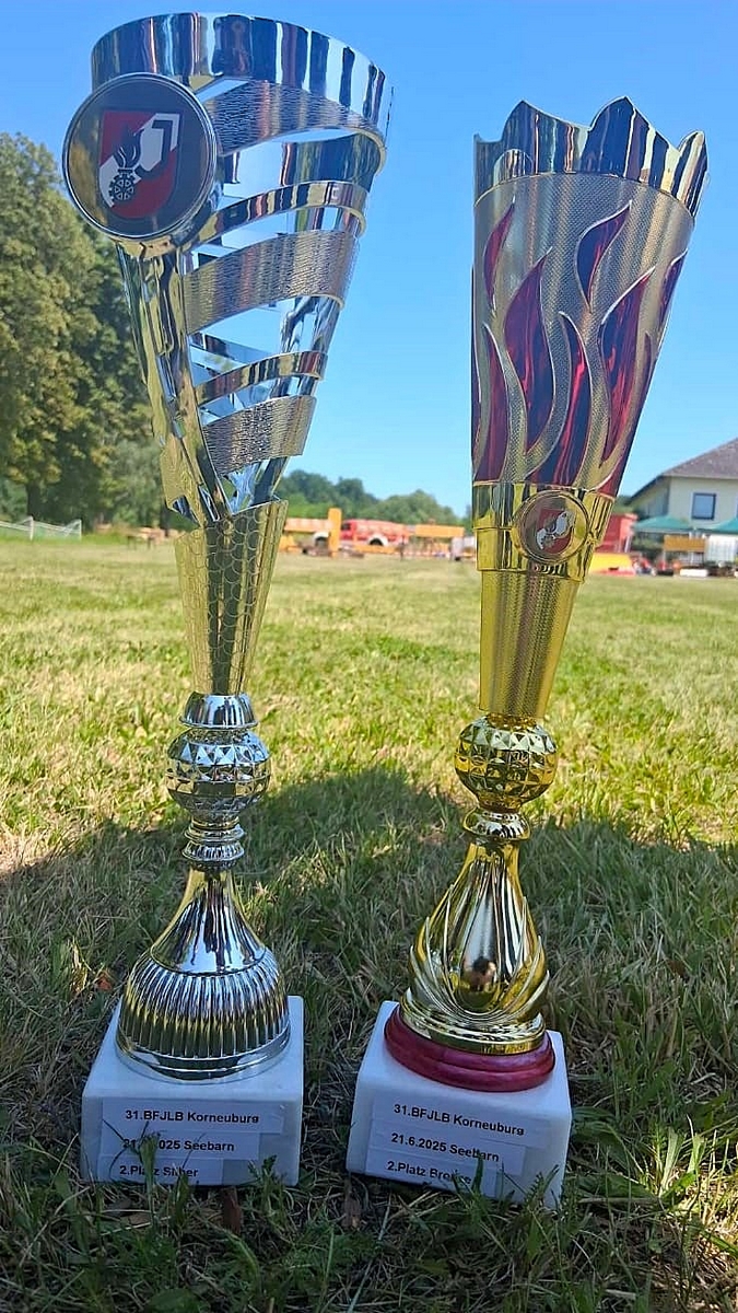 Pokal und Auszeichnungen