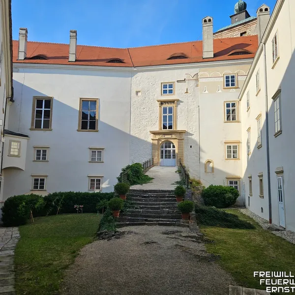 Galerie Bild