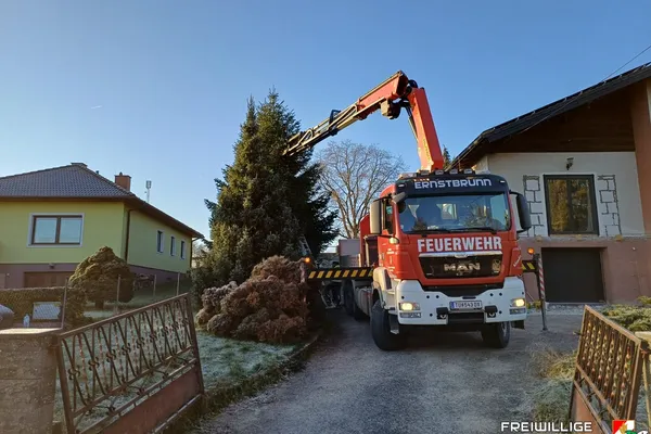 Christbaum für den Hauptplatz Ernstbrunn