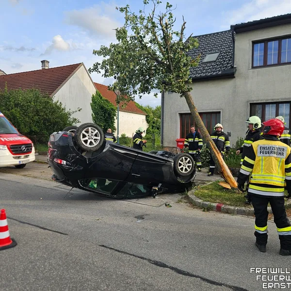 Beitragsbild